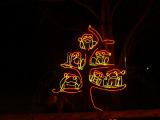 Some of the many lights at the festival of lights, San Diego WIld Animal Park