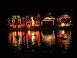 A train of lights reflected in the river, San Diego WIld Animal Park