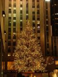 The Christmas Tree in Rockefeller Center, New York City