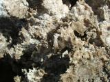 Some salt crystal formations, Devil's Golf Course, Death Valley National Park