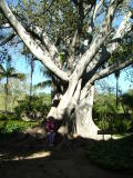 Mum sitting underneath a Morton Bay Fig, Mission Santa Barbara, Santa Barbara, California