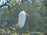 San Diego Zoo, San Diego, California