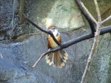San Diego Zoo, San Diego, California