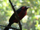 San Diego Zoo, San Diego, California