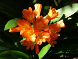 San Diego Zoo, San Diego, California