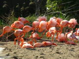 San Diego Zoo, San Diego, California