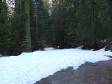 Jo and Margaret walk back through the snow, Yosemite National Park, California
