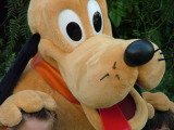 Pluto, Disney's California Adventure, California