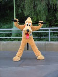 Posing Pluto, Disney's California Adventure, California