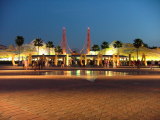 Jo's Mum outside Disney's California Adventure, California