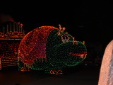 Disney's Electrical Parade, Disney's California Adventure, Anaheim, California