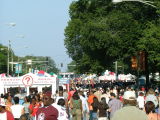 The crowd at the Taste of Chicago, Chicago