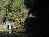 At the waterfall, Lenah Valley, Tasmania
