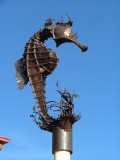 Seahorse art outside Mures Restaurant, Hobart, Tasmania Seahorse art outside Mures Restaurant, Hobart, Tasmania