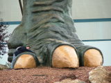 World's Largest T-Rex, Drumheller Tourist Centre, Drumheller, Alberta, Canada