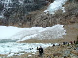 Cavell Glacier, Jasper National Park, Alberta, Canada